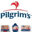 کمپانی Pligrim’s Pride موفق ترین در صنعت مرغداری امریکا