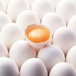 صادرات ماهانه ۷۵۰۰ تن تخم مرغ به ۸ کشور