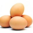 تخم‌مرغ برای صادرات ذخیره نشده، مدارکش موجود است