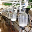 سوء‌استفاده کارخانه‌های لبنی از واردات شیرخشک