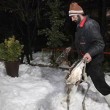 بارش برف در شیراز و یخبندان شدید باعث شد که تعداد زیادی از طیور باغ پرندگان شیراز از شدت سرما یخ بزنند
