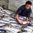 امضاء تفاهم نامه همکاری سازمان دامپزشکی و اتحادیه شرکت های تعاونی تکثیر و پرورش ماهیان سردابی