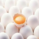 عضو هیئت مدیره اتحادیه مرکزی مرغداران میهن خبر داد: نجات تخم‌مرغ با عرضه در بورس و بسته امنیت غذایی