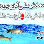 اولین همایش ملی آبزی پروری نوین در ۳۰ مهر و اول آبان ماه ۱۳۹۳ برگزار می گردد