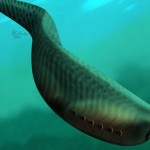 کشف فسیل ماهی درکانادا با قدمت بیش از ۵۰۵ میلیون سال