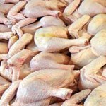 سامانه ردیابی گوشت مرغ از تولید به مصرف راه‌اندازی شد
